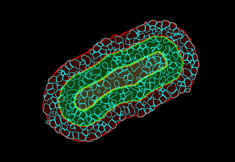 Dynamic Content Image